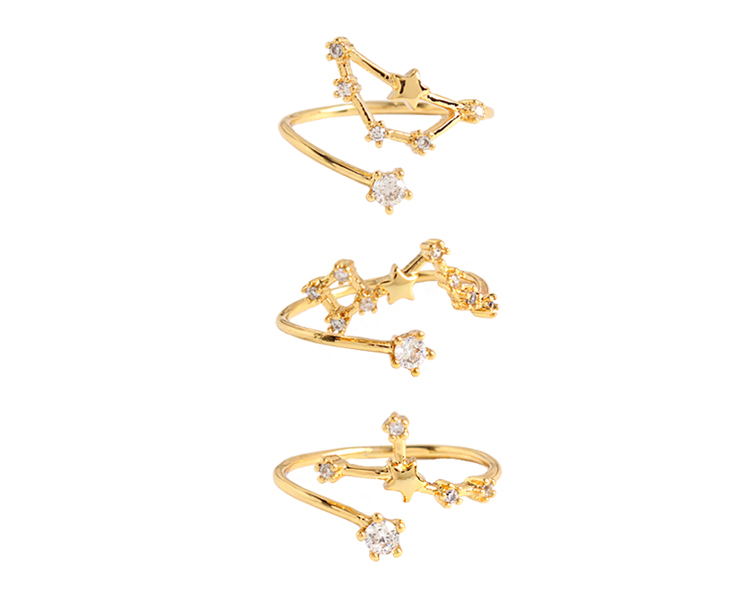 Twelve Constellations 18K Gold Zircon Open Adjustable Ring